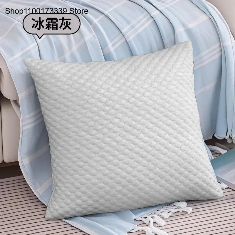 [فقط يشتمل كيس وسادة] وسادة صي - مراجعة Silk Pillowcase وسعره